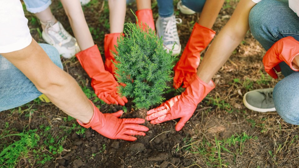 Exkursion - Gemeinschaftsgarten – Lebensmittel selbst anbauen (Urban Gardening)