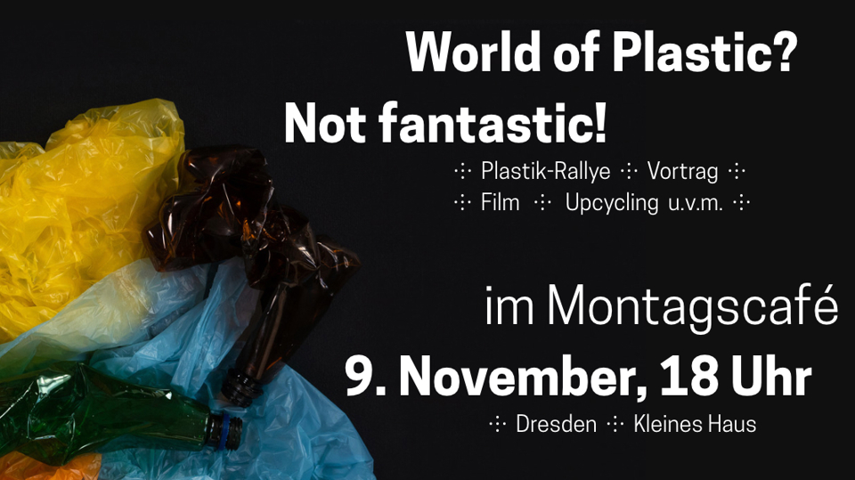Plastik - vom globalen Problem zur Ressource